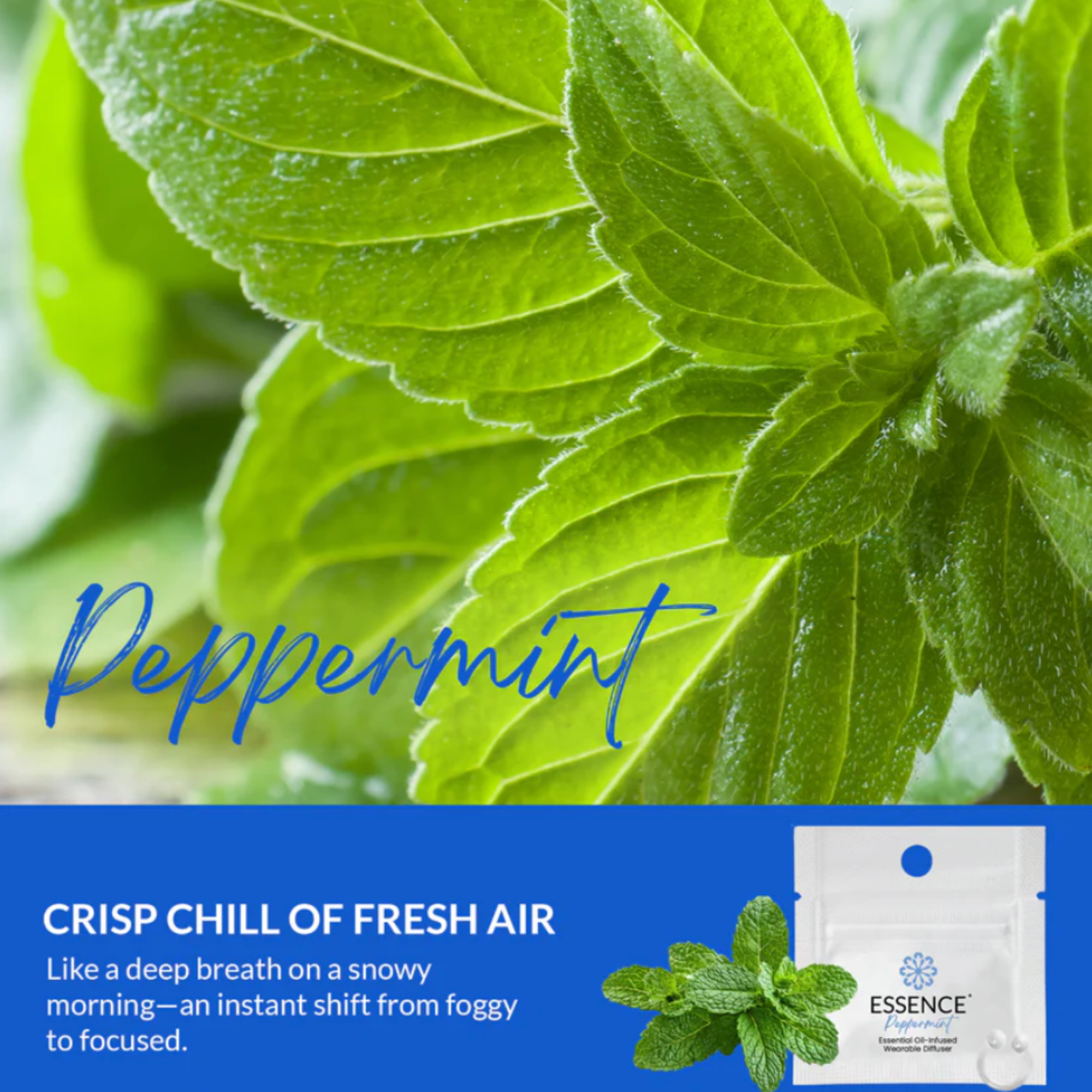 Peppermint Scent Nasal Diffuser Ring