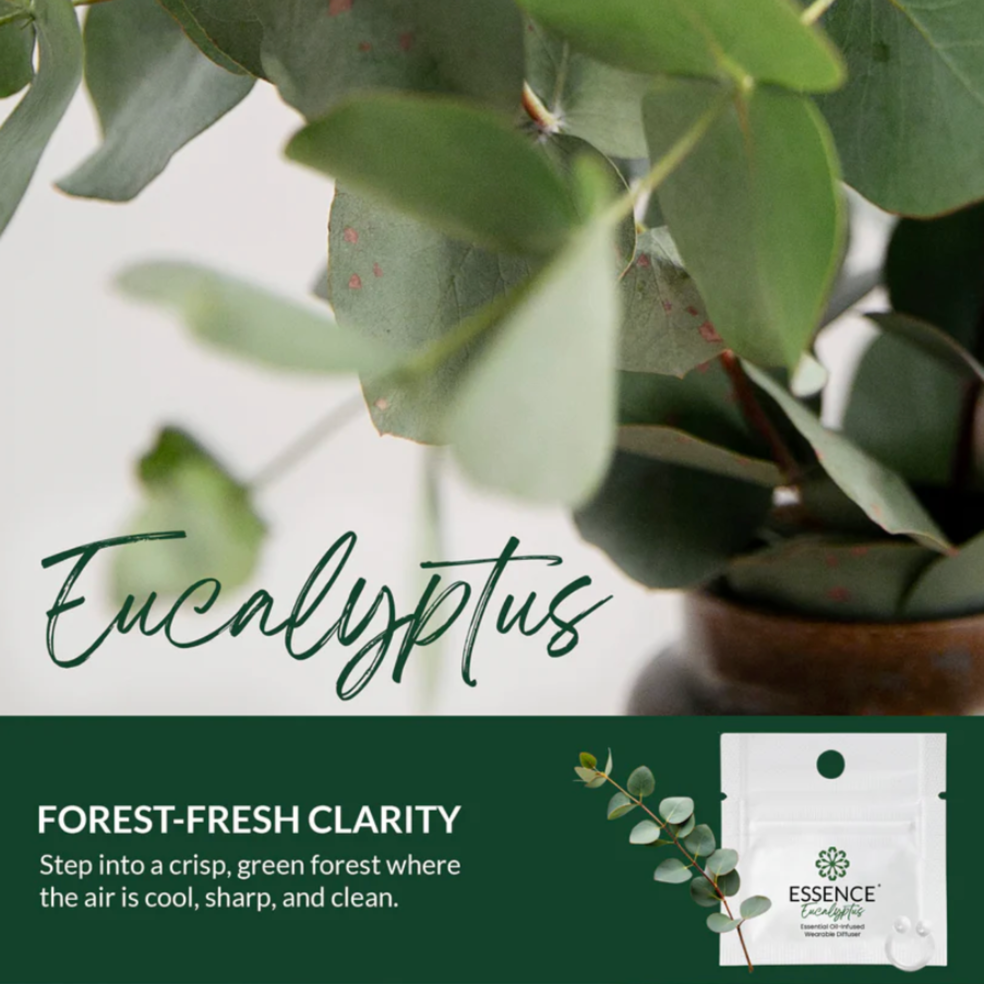 Eucalyptus Scent Nasal Diffuser Ring