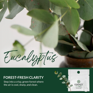Eucalyptus Scent Nasal Diffuser Ring