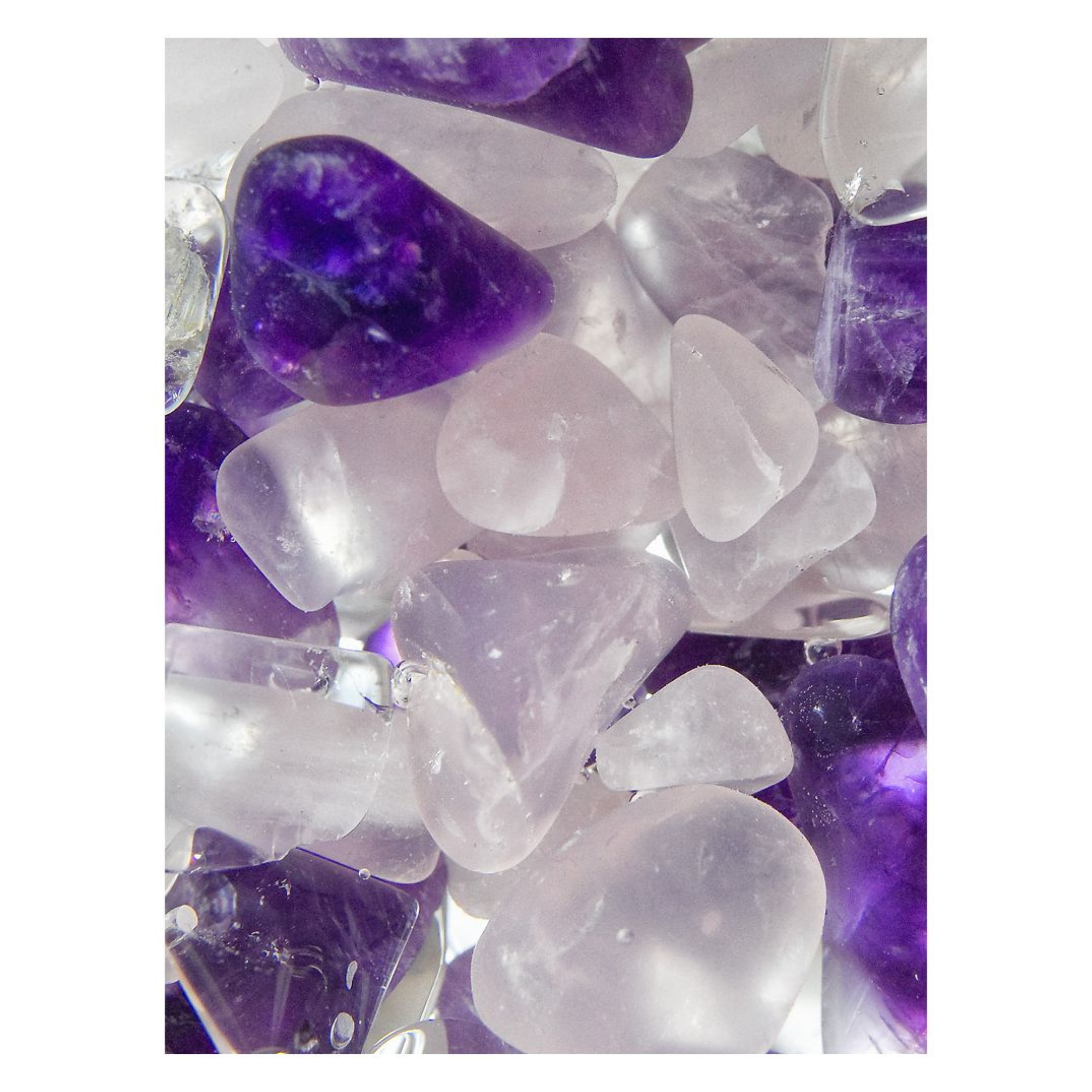 ViA Gem Water Bottle | Wellness