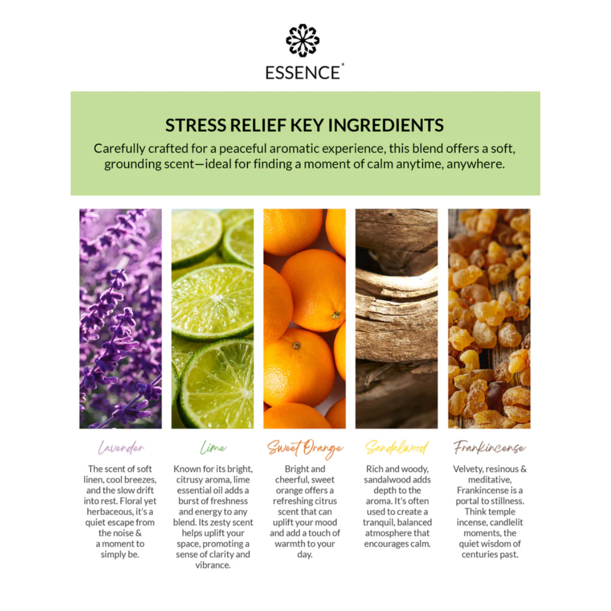 Stress Relief Blend Nasal Diffuser Ring