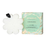 Edelweiss Elevation Boxed Flower