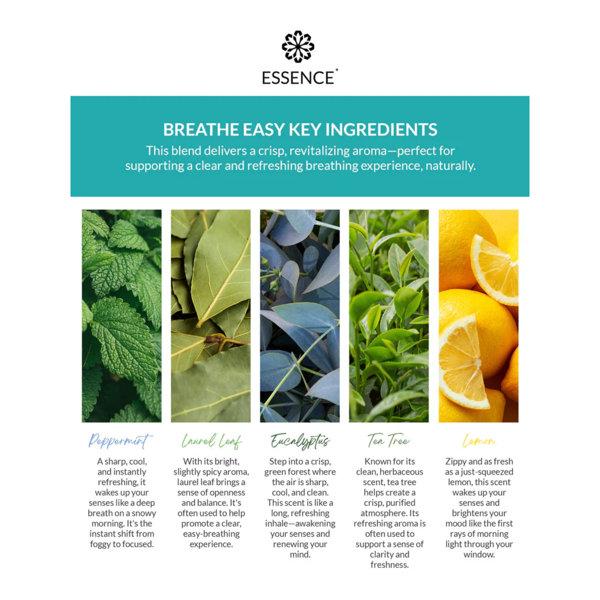 Breathe Easy Blend Nasal Diffuser Ring