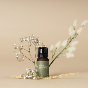 Willow Essential Oil Blend