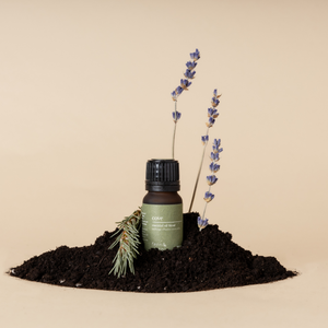 Cove Essential Oil Blend