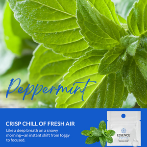 Peppermint Scent Nasal Diffuser Ring