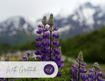 With Gratitude - Altitude Spa eGift Card