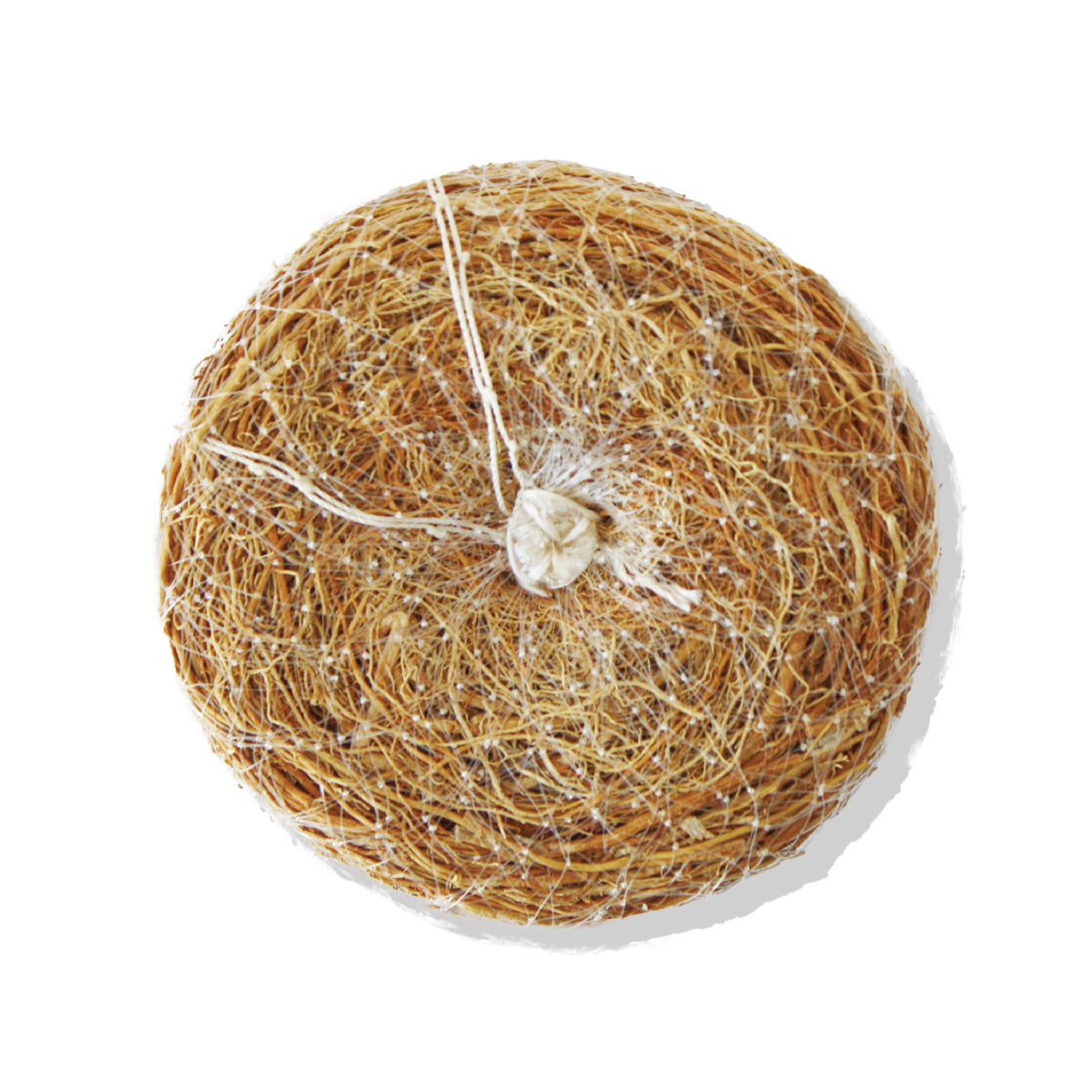 Exfoliating Sponge