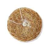 Exfoliating Sponge