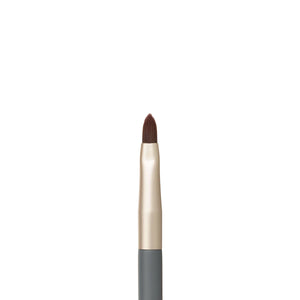 Lip Brush