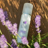 Lavender Soy Lotion