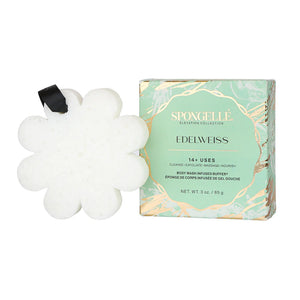 Edelweiss Elevation Boxed Flower