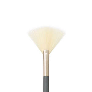 Fan Brush